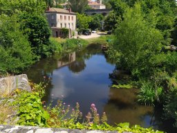 clisson-20230611-108